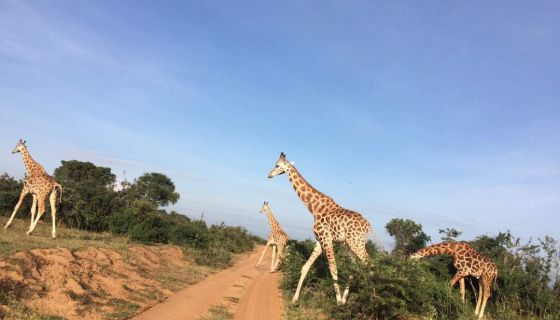 LAKE MBURO NATIONAL PARK